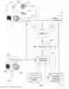 Fig. 01 - Methods and apparatus for formatting text for clinical fact extraction