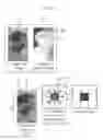 Fig. 07 - Multi-view rendering apparatus and method using background pixel expansion and background-first patch matching