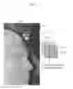 Fig. 12 - Multi-view rendering apparatus and method using background pixel expansion and background-first patch matching