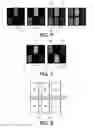 Fig. 05 - AUTOSTEREOSCOPIC DISPLAY DEVICE