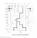 Fig. 02 - Method and apparatus for tile based depth buffer compression