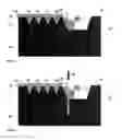 Fig. 02 - Floor relief for dot improvement