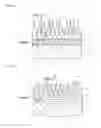 Fig. 03 - Optical member and method for making the same