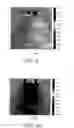 Fig. 05 - Electromagnetic wave propagating structure