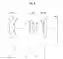 Fig. 10 - Zoom lens and imaging apparatus
