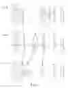 Fig. 03 - Zoom lens