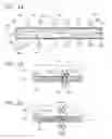 Fig. 02 - LIGHT EMITTING DEVICE