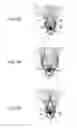 Fig. 08 - STROBE DEVICE AND IMAGE-CAPTURING DEVICE USING SAME