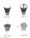 Fig. 05 - LIGHTING DEVICE