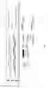 Fig. 07 - Multi-standard communication