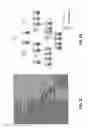Fig. 04 - Multi-metric filtering
