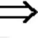 Fig. 04 - Digital watermarking