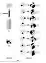 Fig. 09 - Digital watermarking