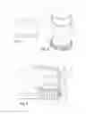 Fig. 02 - Device for applying to the skin