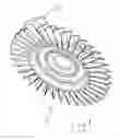 Fig. 09 - ROTARY STRUCTURES