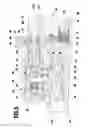 Fig. 06 - Pump for a high-pressure cleaning device