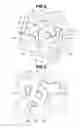 Fig. 08 - Oil Pump