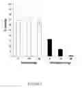 Fig. 06 - VERSATILE NANOPARTICULATE BIOMATERIAL FOR CONTROLLED DELIVERY AND/OR CONTAINMENT OF THERAPEUTIC AND DIAGNOSTIC MATERIAL