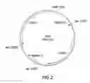 Fig. 07 - GRANULOCYTE-COLONY STIMULATING FACTOR PRODUCED IN GLYCOENGINEERED PICHIA PASTORIS