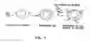 Fig. 02 - Alteration of cell membrane for new functions
