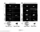 Fig. 02 - Stem cells, nucleotide sequences and proteins therefrom