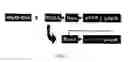 Fig. 03 - Stem cells, nucleotide sequences and proteins therefrom