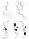 Fig. 02 - Method of Preconditioning of Cell Suspensions