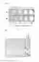 Fig. 04 - NOVEL METHOD FOR THE PRODUCTION OF A ANTIMICROBIAL PEPTIDE