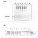 Fig. 08 - NOVEL METHOD FOR THE PRODUCTION OF A ANTIMICROBIAL PEPTIDE