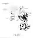 Fig. 136 - ANTIGEN BINDING PROTEINS TO PROPROTEIN CONVERTASE SUBTILISIN KEXIN TYPE 9 (PCSK9)