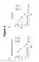 Fig. 07 - Compositions and methods for treating inflammatory disorders