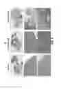 Fig. 06 - Vault complexes for cytokine delivery