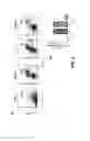 Fig. 07 - Vault complexes for cytokine delivery