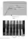 Fig. 02 - Compositions Comprising Peroxy alpha-Ketocarboxylic Acid and Methods For Producing and Using the Same