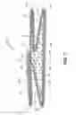 Fig. 06 - Ingredient delivery system for popcorn kernels