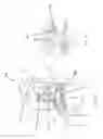 Fig. 15 - Cooking appliance