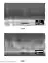 Fig. 03 - VERTICALLY ALIGNING A CARBON NANOTUBES ARRAY