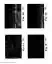 Fig. 05 - Forming reactive element modified aluminide coatings with low reactive element content using vapor phase techniques