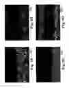 Fig. 13 - Forming reactive element modified aluminide coatings with low reactive element content using vapor phase techniques