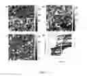 Fig. 05 - Polycrystalline ferroelectric or multiferroic oxide articles on biaxially textured substrates and methods for making same