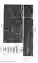 Fig. 14 - Functionally Graded Shape Memory Polymer