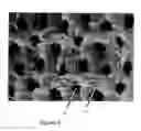 Fig. 04 - Formed Films, Methods and Apparatus for Manufacturing Same, and Articles Comprising Same