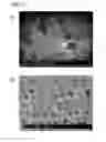 Fig. 05 - METHOD FOR PRODUCING DIE, AND DIE