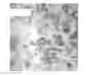 Fig. 01 - CORONA RESISTANT COMPOSITIONS AND METHODS RELATING THERETO