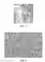 Fig. 02 - CORONA RESISTANT COMPOSITIONS AND METHODS RELATING THERETO