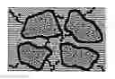Fig. 01 - Electrode materials with high surface conductivity