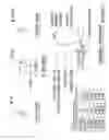 Fig. 08 - Firearm barrel plug and training method