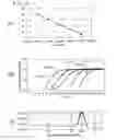 Fig. 03 - METHOD OF DETECTING OR QUANTITATING ENDOGENOUS WHEAT DNA AND METHOD OF DETERMINING CONTAMINATION RATE OF GENETICALLY MODIFIED WHEAT IN TEST SAMPLE
