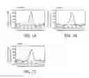 Fig. 02 - Probe for detecting polymorphism in EGFR gene and use of the probe