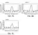 Fig. 03 - Probe for detecting polymorphism in EGFR gene and use of the probe